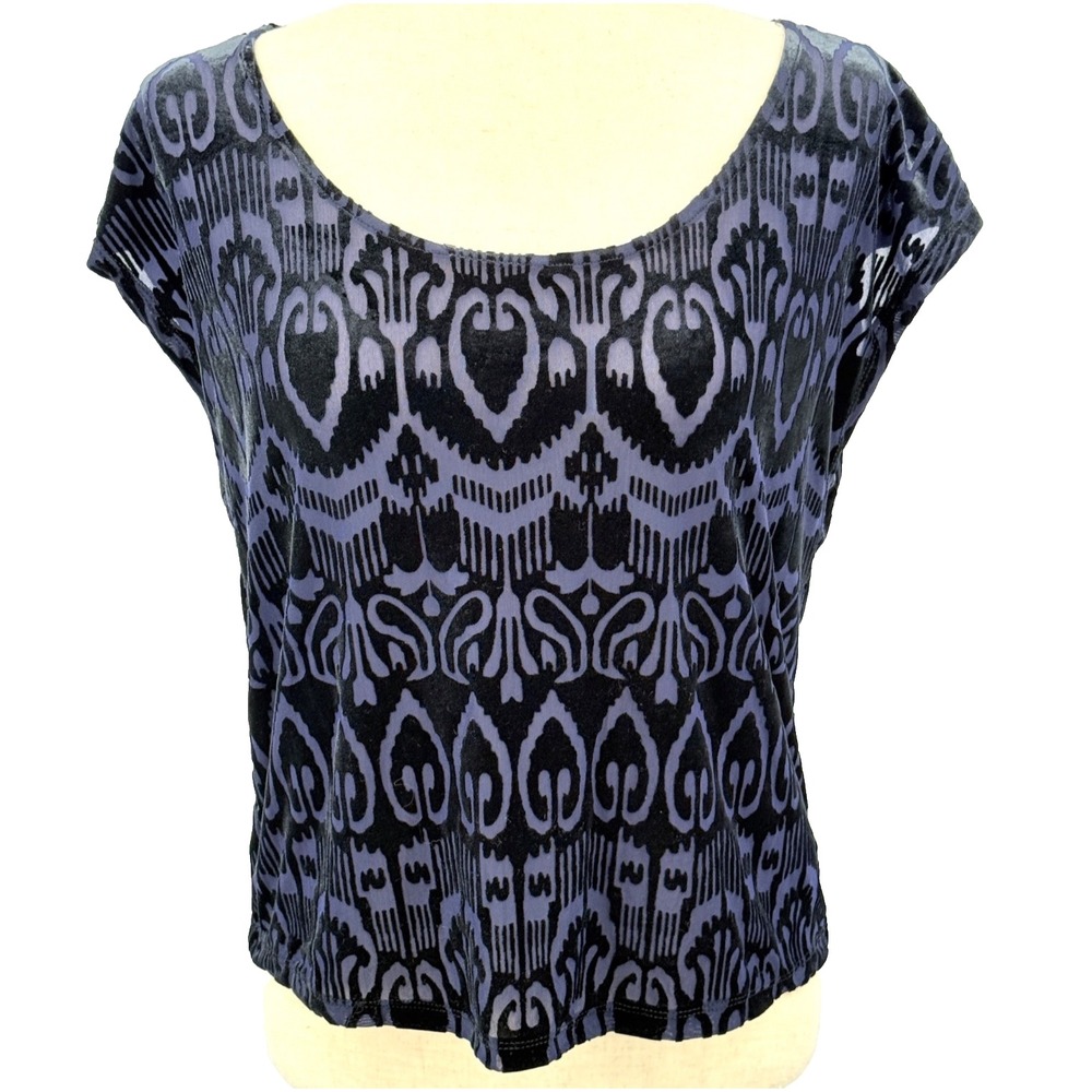 Forever 21 Womens Top S Burnout Velvet Y2K Mesh Dark Fairy Romantic Gothic Black